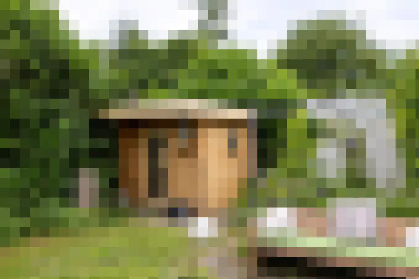 de Vlierbes 15 Doetinchem thumbnail 17