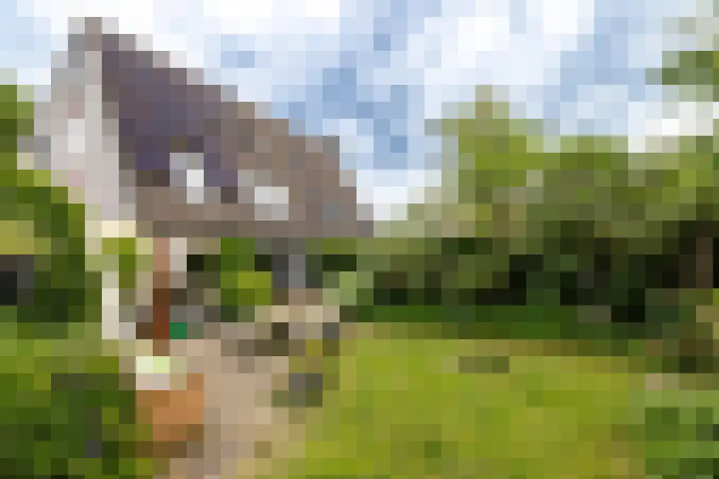 de Vlierbes 15 Doetinchem thumbnail 21