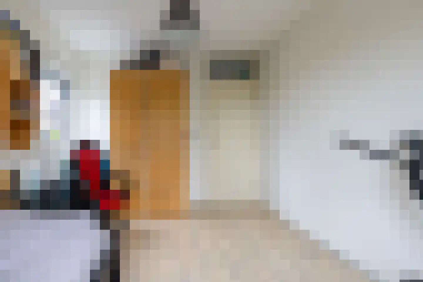 de Vlierbes 15 Doetinchem thumbnail 31
