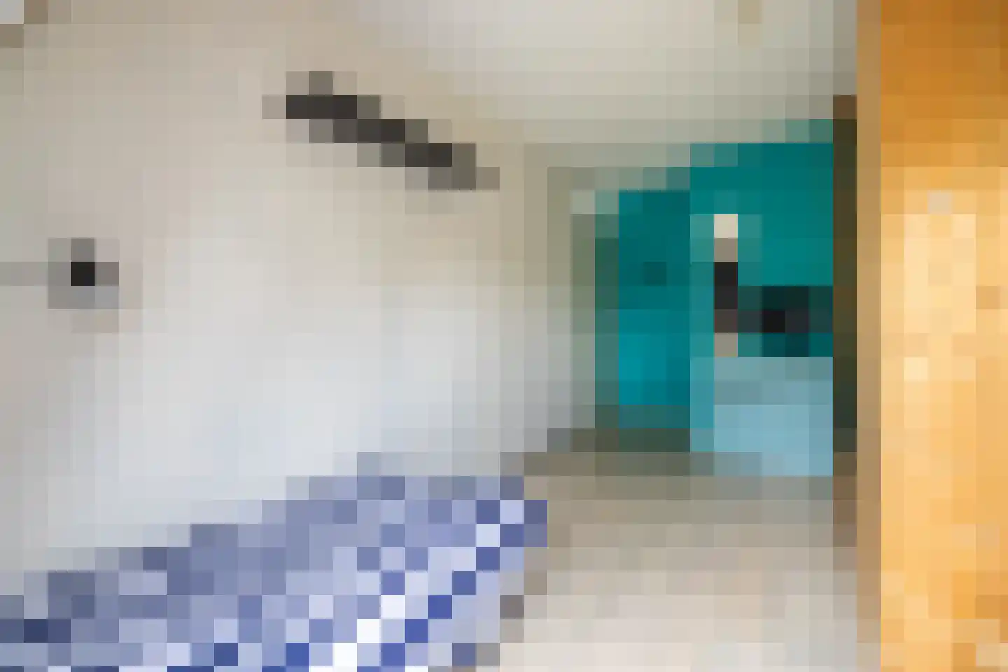 de Vlierbes 15 Doetinchem thumbnail 33