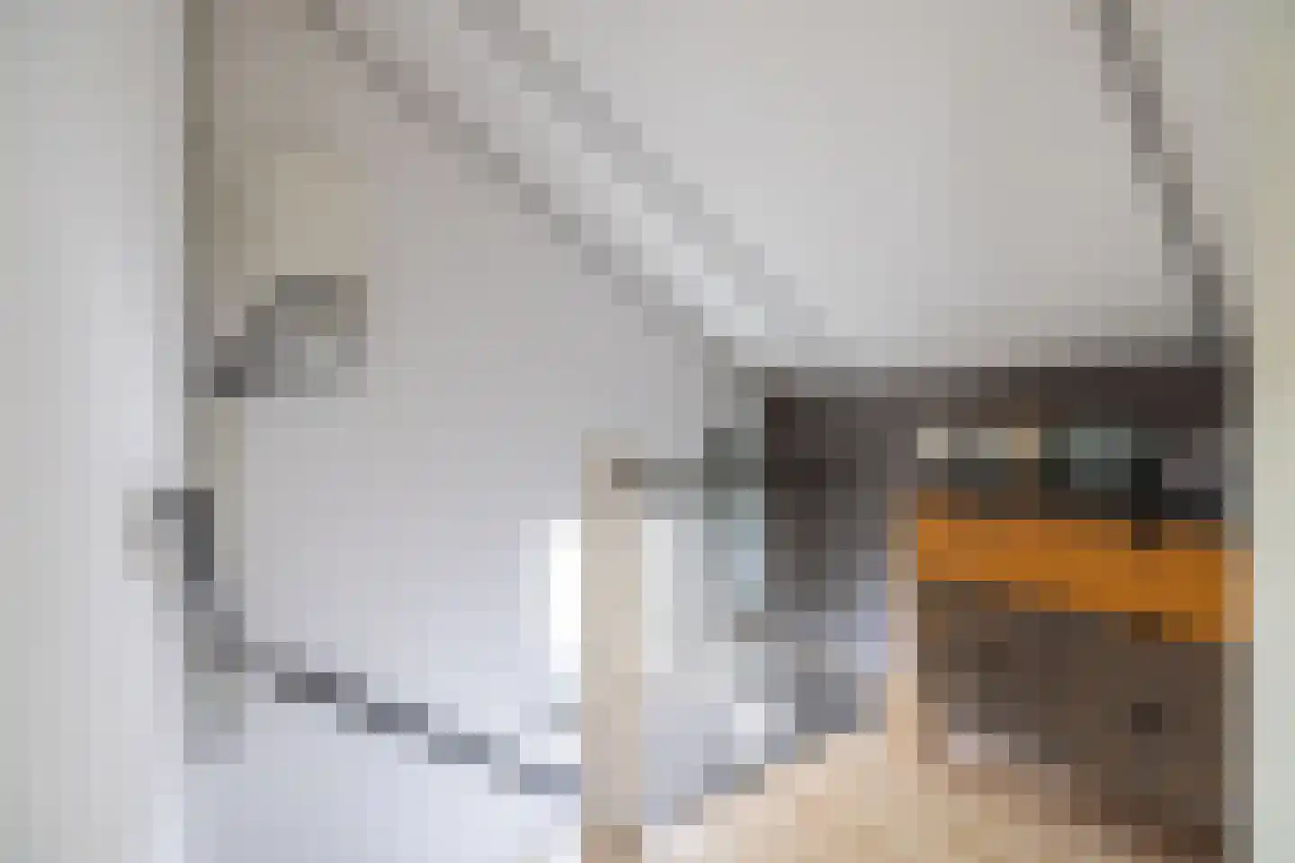 de Vlierbes 15 Doetinchem thumbnail 39