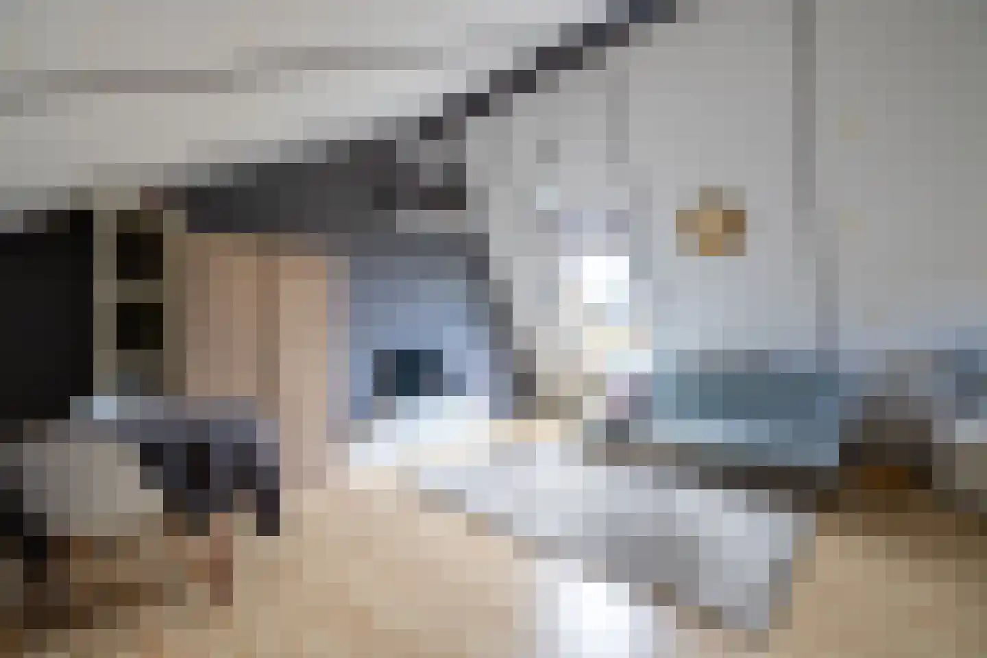 de Vlierbes 15 Doetinchem thumbnail 40