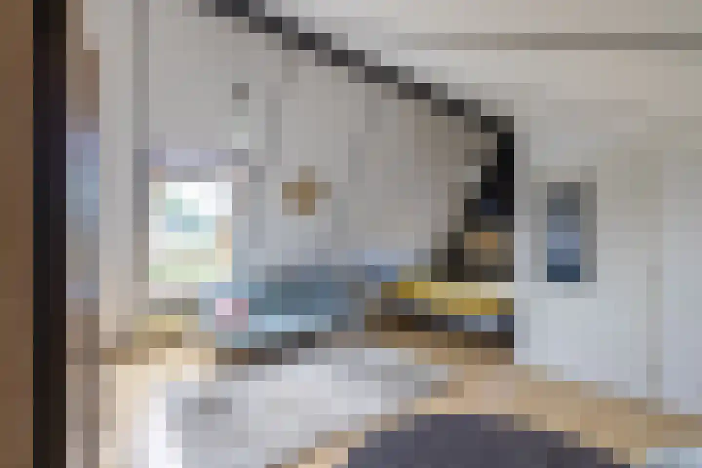 de Vlierbes 15 Doetinchem thumbnail 41