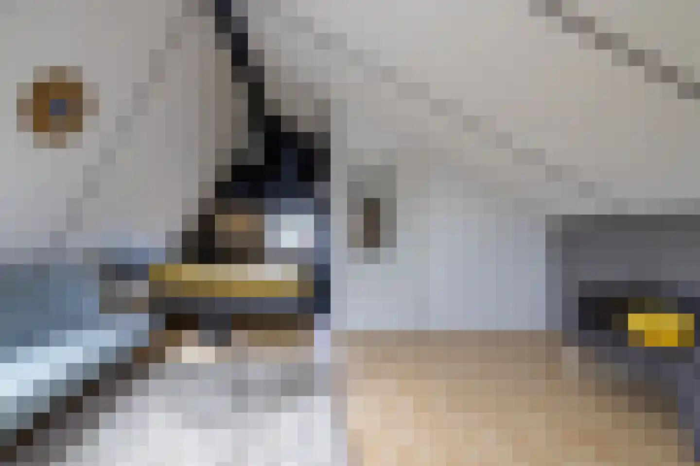 de Vlierbes 15 Doetinchem thumbnail 42