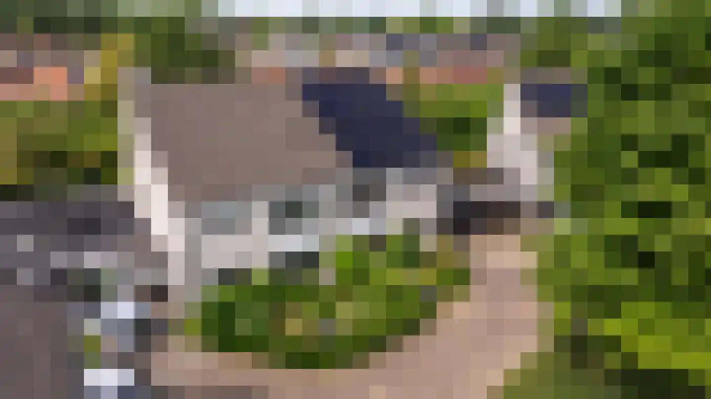 de Vlierbes 15 Doetinchem thumbnail 45