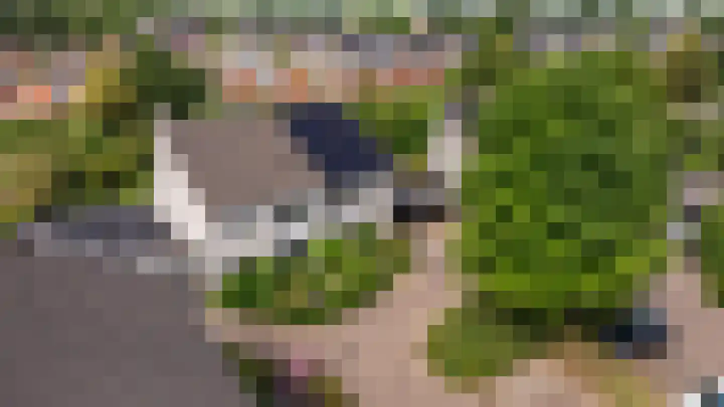 de Vlierbes 15 Doetinchem thumbnail 46