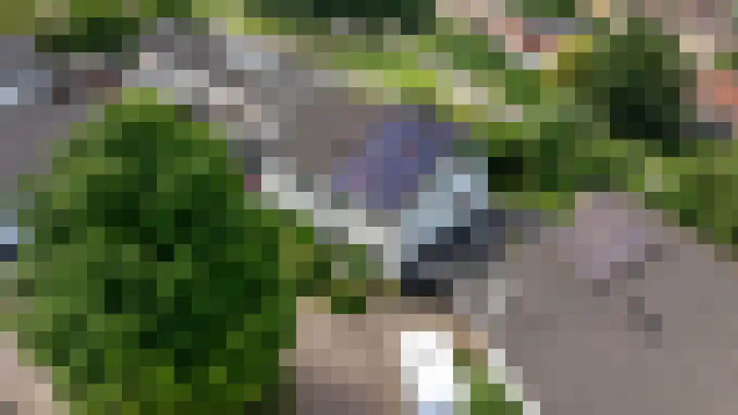 de Vlierbes 15 Doetinchem thumbnail 47