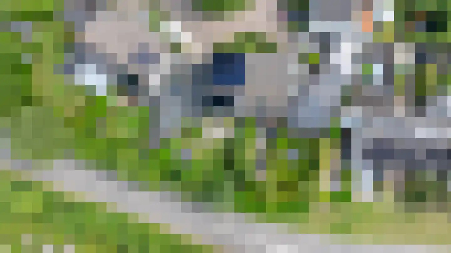 de Vlierbes 15 Doetinchem thumbnail 48