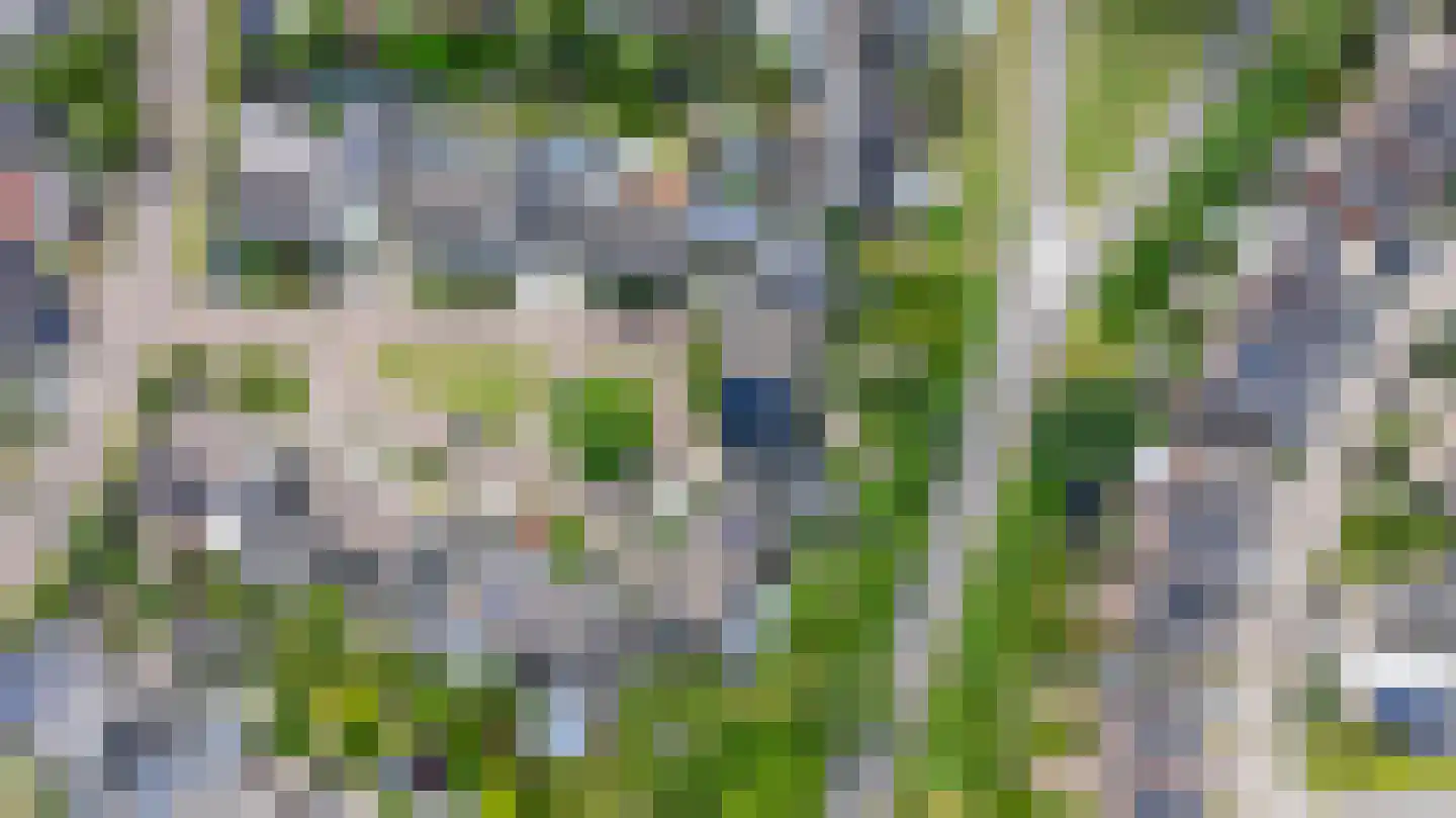 de Vlierbes 15 Doetinchem thumbnail 50