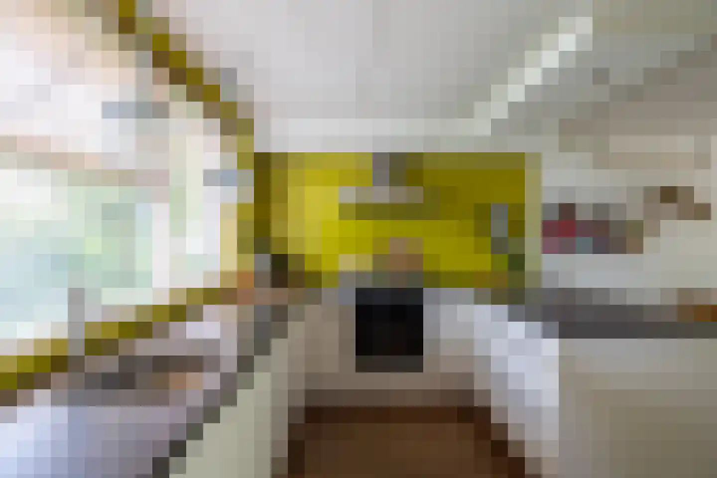 de Vlierbes 15 Doetinchem thumbnail 9