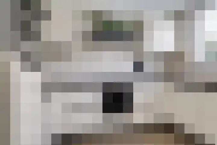 de Vlierbes 171 Doetinchem thumbnail 20