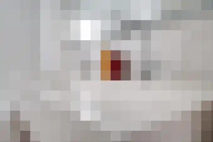 de Vlierbes 171 Doetinchem thumbnail 36