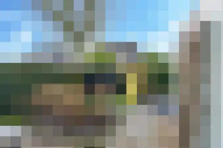 de Vlierbes 171 Doetinchem thumbnail 48
