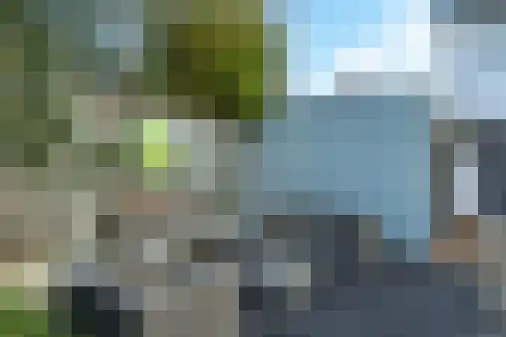 de Vlierbes 171 Doetinchem thumbnail 51