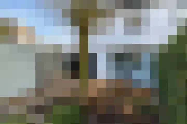 de Vlierbes 171 Doetinchem thumbnail 53