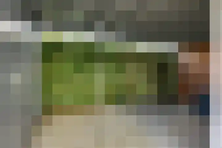 de Vlierbes 171 Doetinchem thumbnail 56