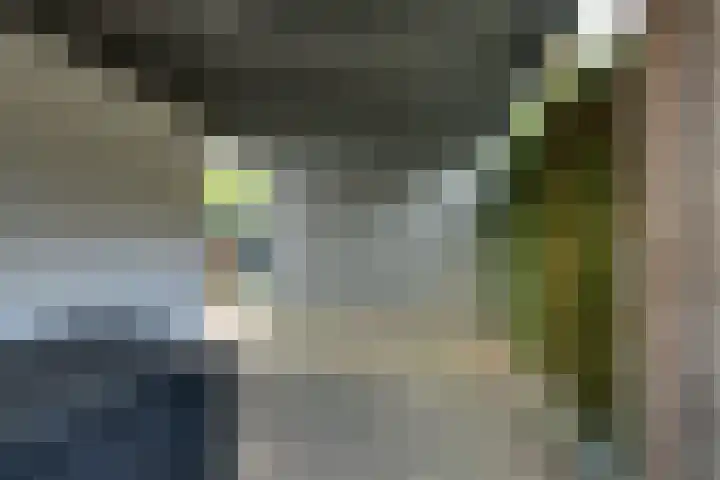 de Vlierbes 171 Doetinchem thumbnail 57