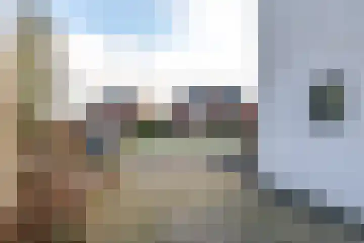 de Vlierbes 171 Doetinchem thumbnail 58