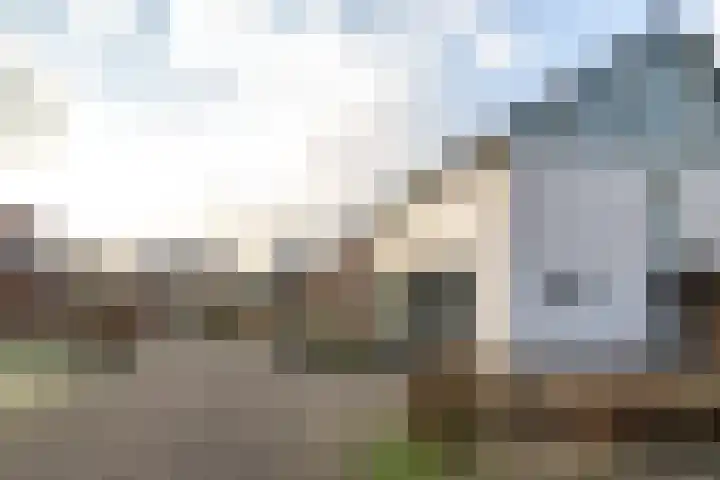 de Vlierbes 171 Doetinchem thumbnail 60