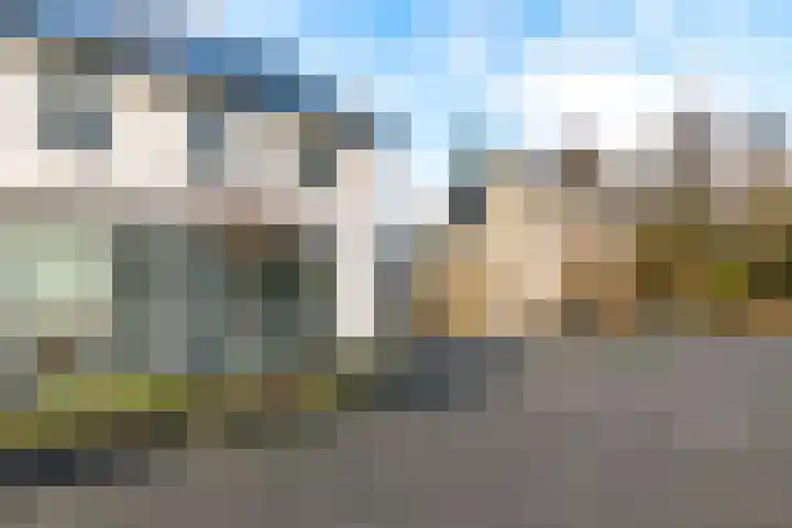 de Vlierbes 171 Doetinchem thumbnail 61
