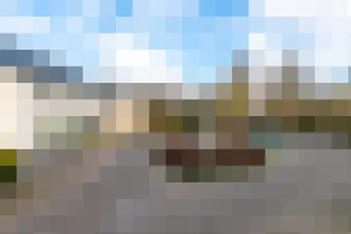 de Vlierbes 171 Doetinchem thumbnail 62