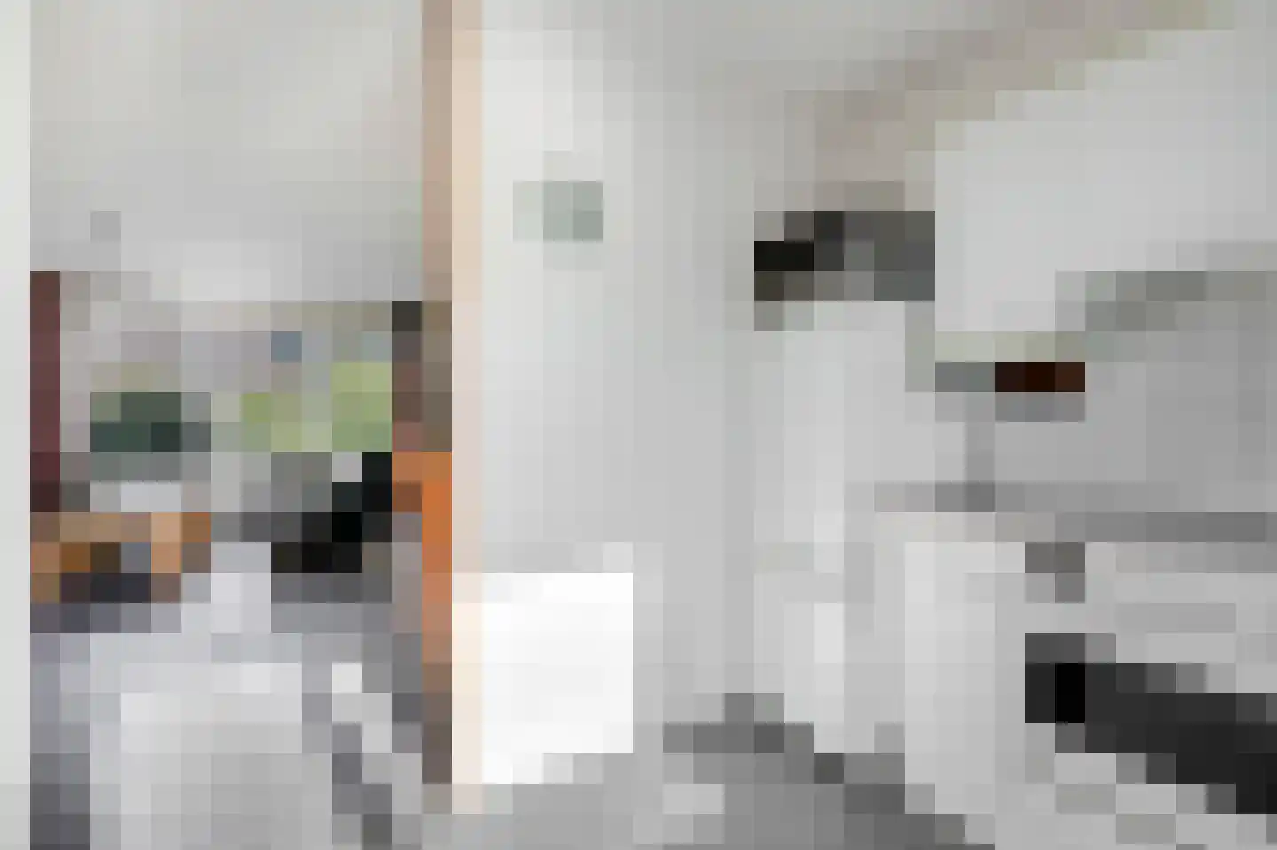 de Vlierbes 203 Doetinchem thumbnail 18