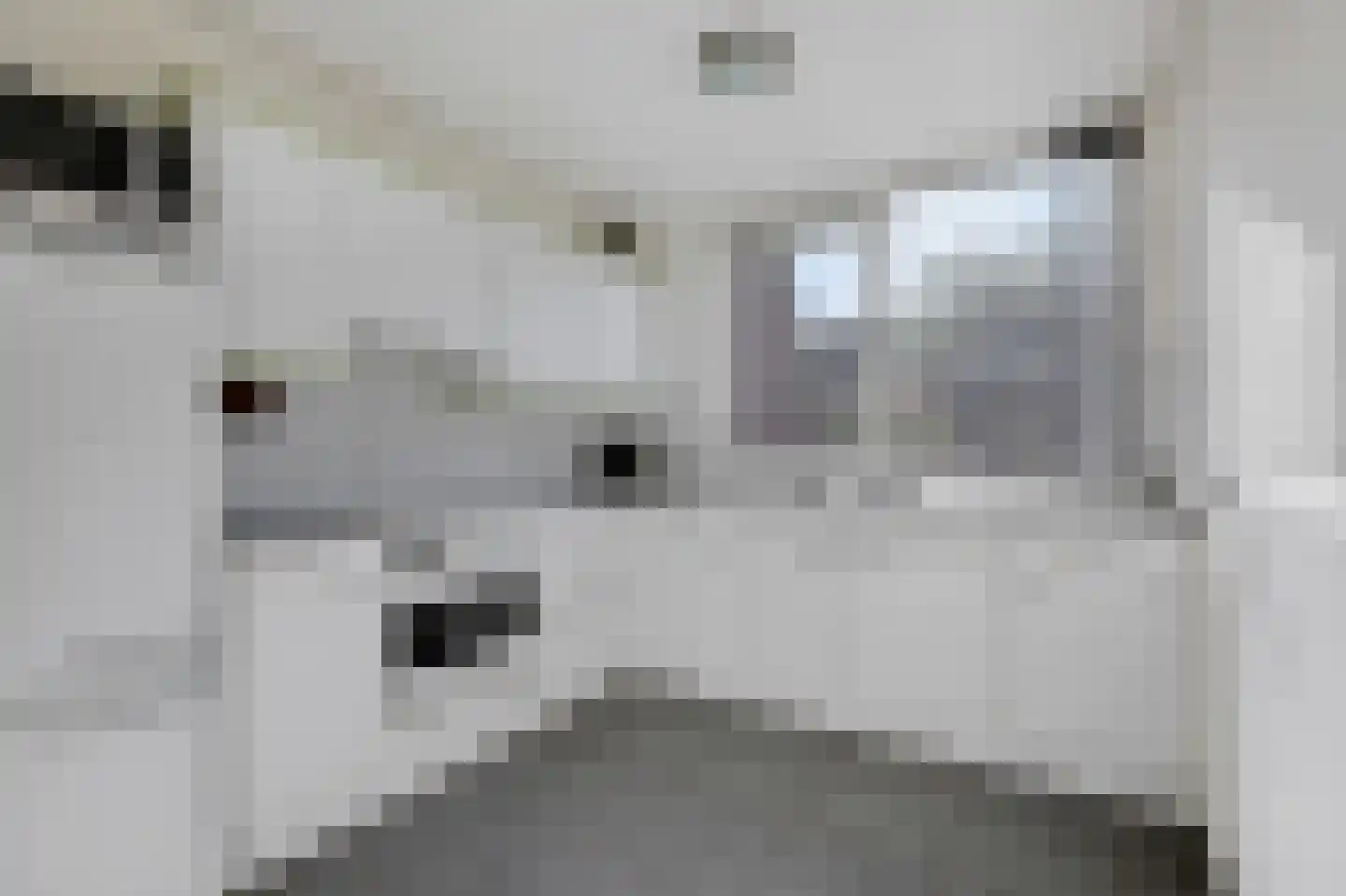 de Vlierbes 203 Doetinchem thumbnail 20