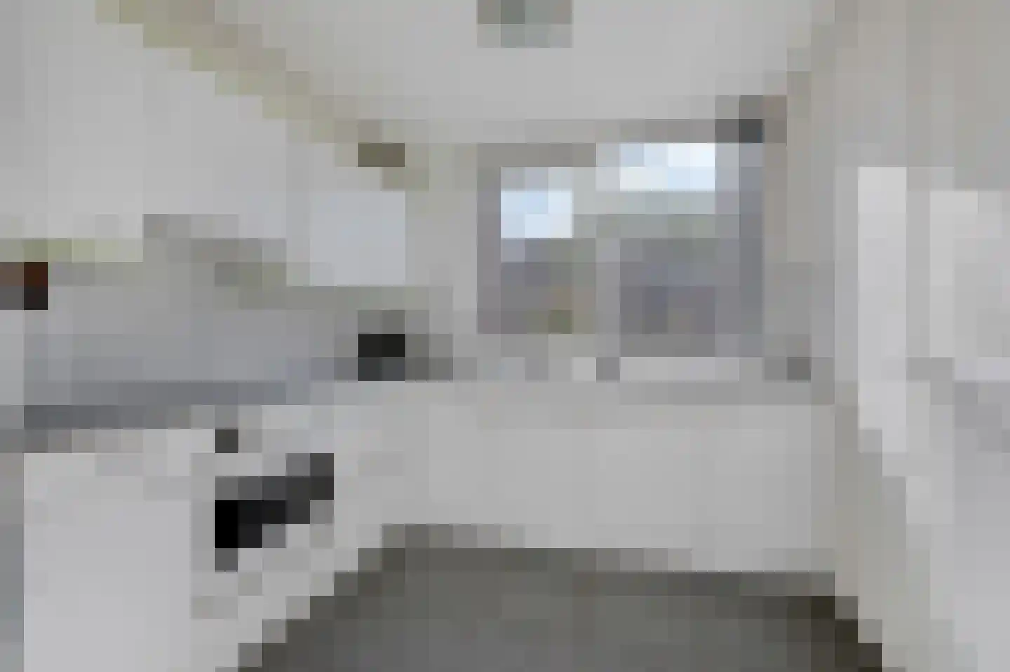 de Vlierbes 203 Doetinchem thumbnail 21