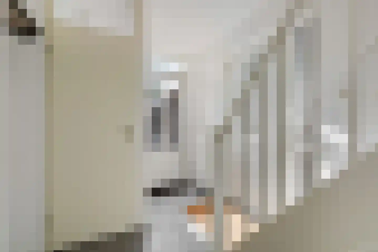 de Vlierbes 203 Doetinchem thumbnail 22
