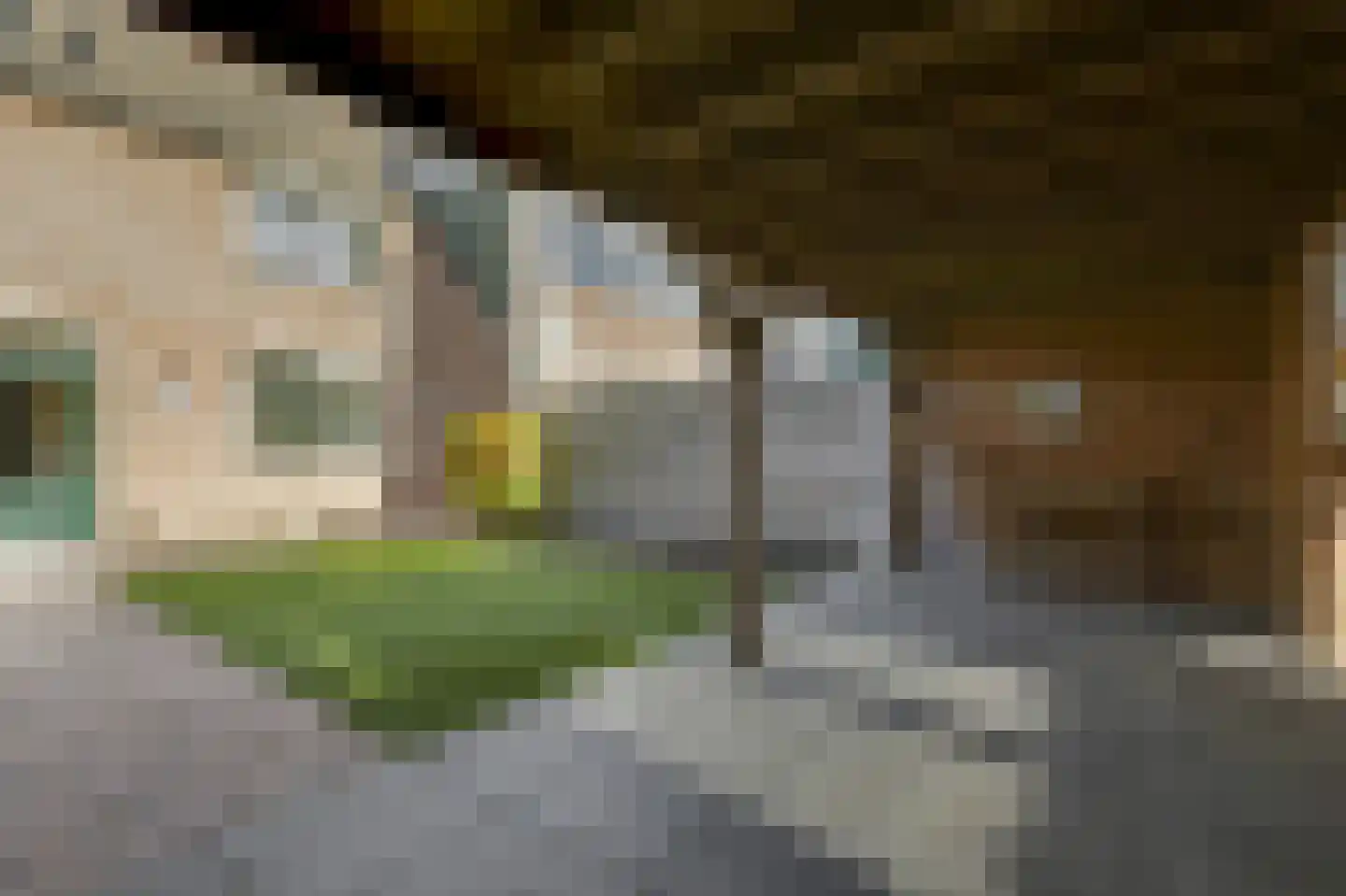de Vlierbes 203 Doetinchem thumbnail 29