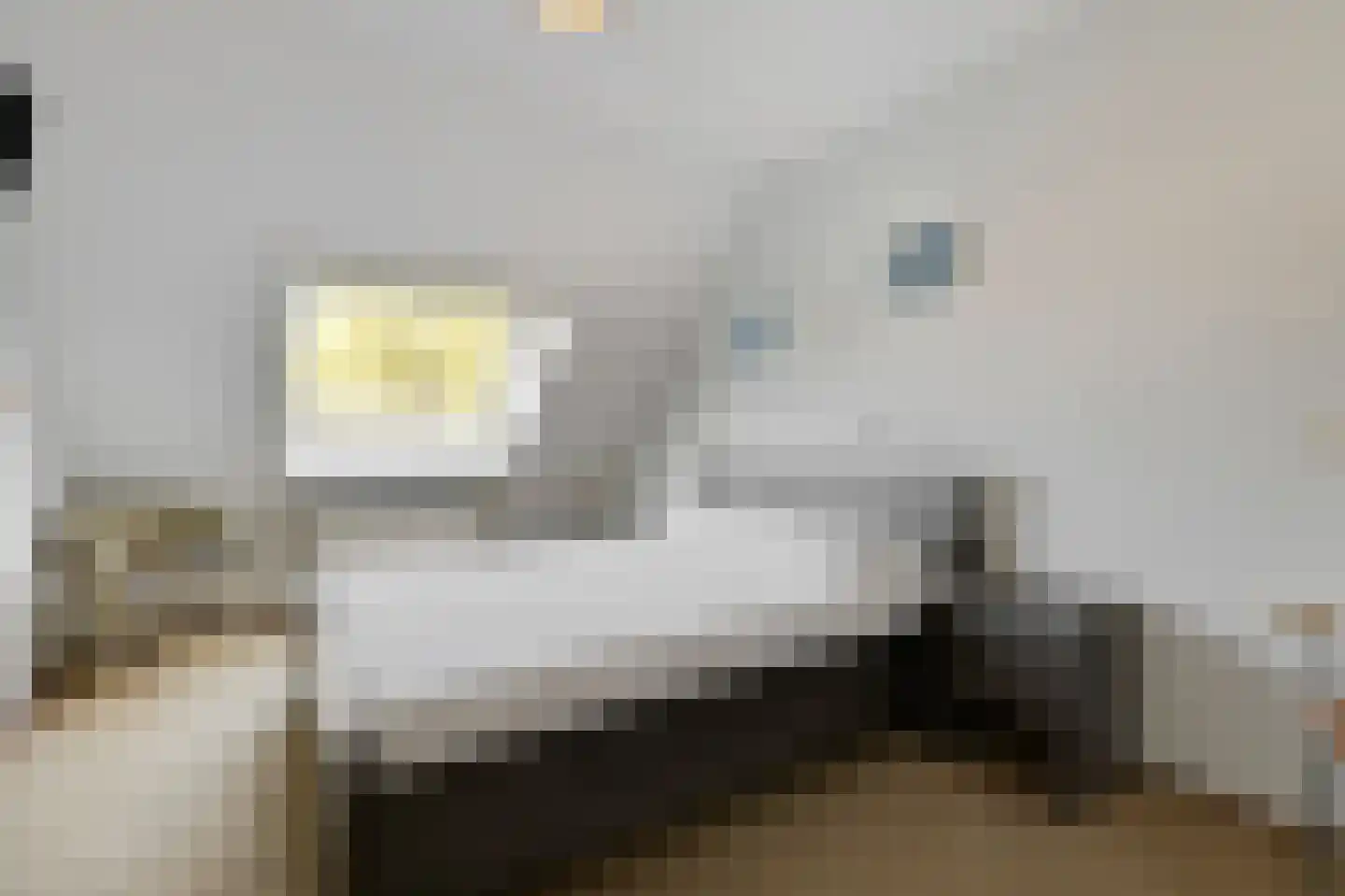 de Vlierbes 203 Doetinchem thumbnail 34