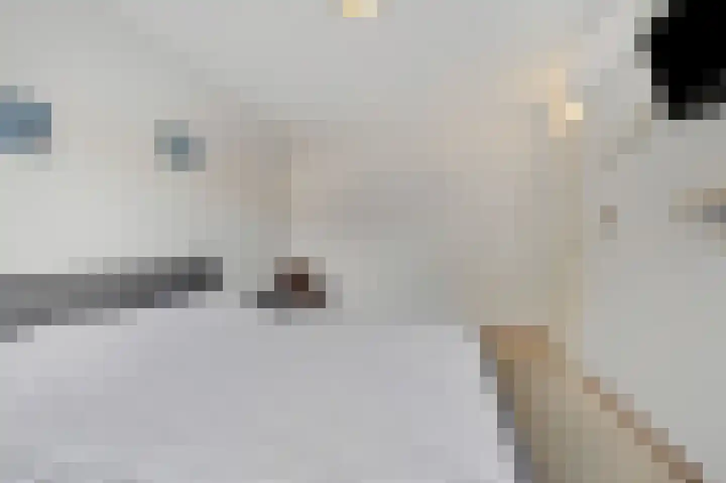 de Vlierbes 203 Doetinchem thumbnail 35