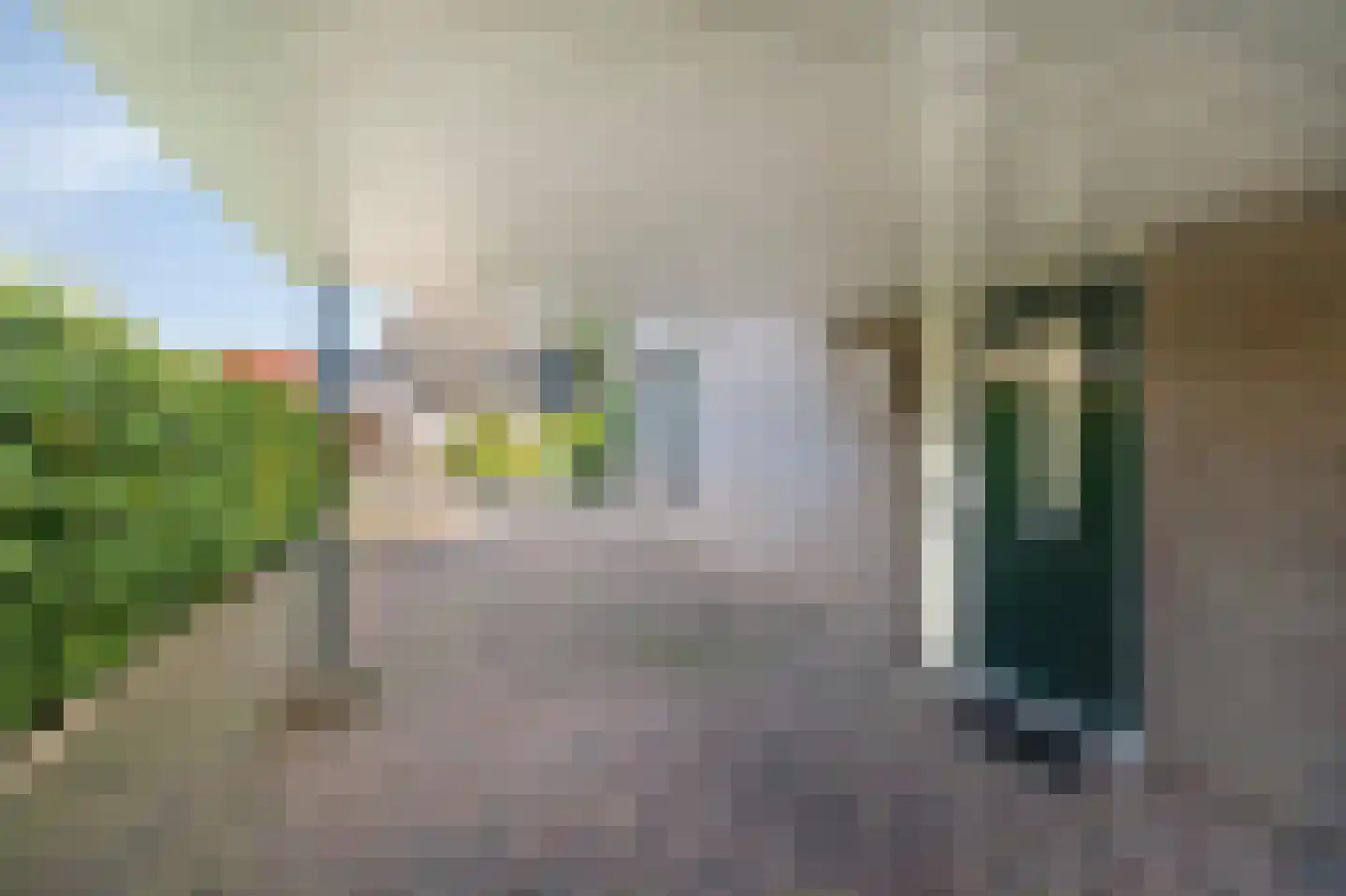 de Vlierbes 203 Doetinchem thumbnail 51