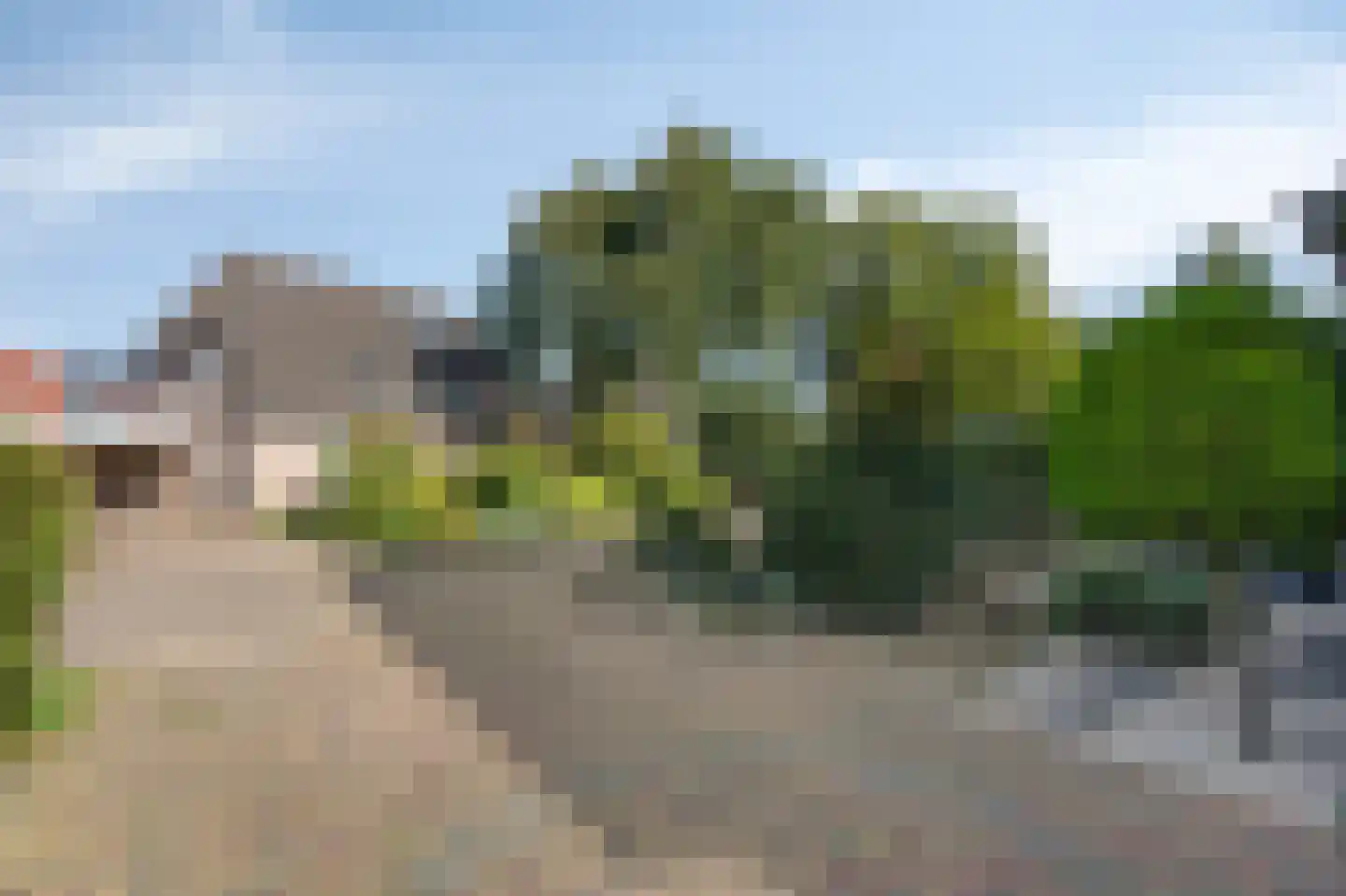 de Vlierbes 203 Doetinchem thumbnail 52
