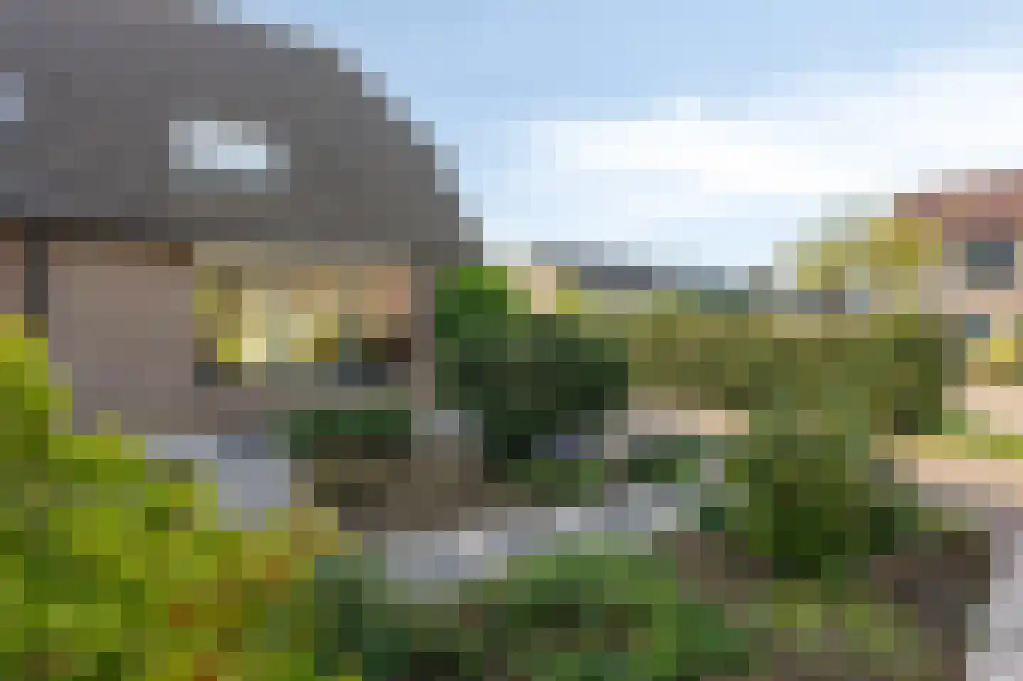 de Vlierbes 203 Doetinchem thumbnail 53
