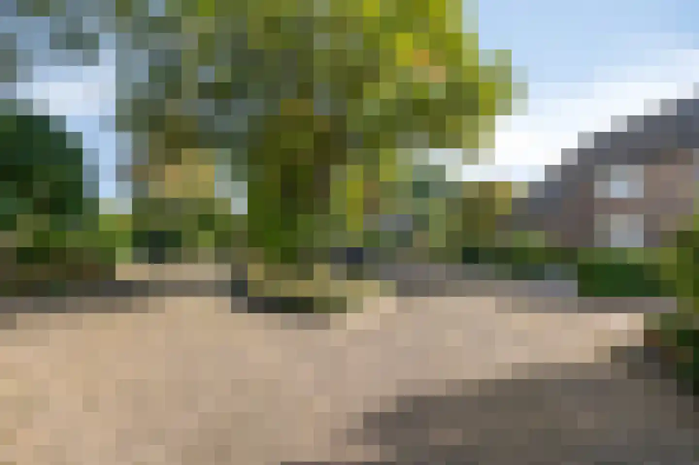 de Vlierbes 203 Doetinchem thumbnail 56