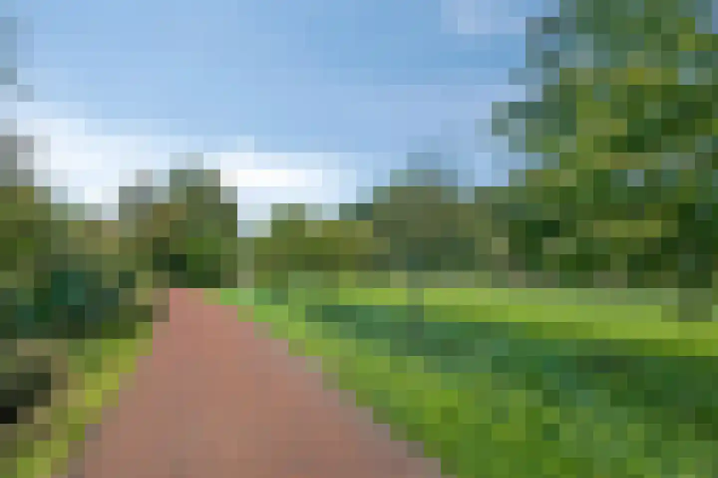 de Vlierbes 203 Doetinchem thumbnail 57
