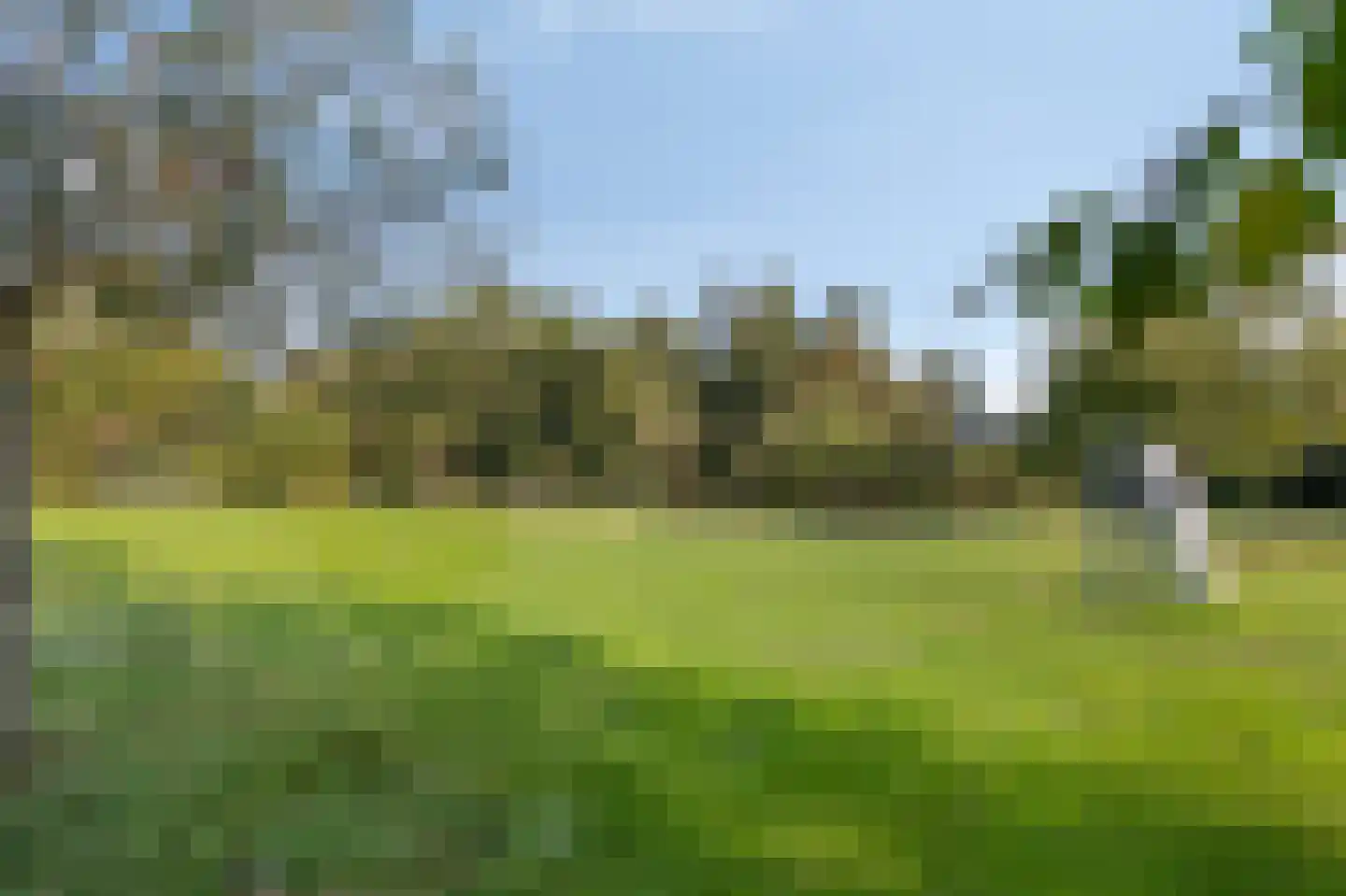 de Vlierbes 203 Doetinchem thumbnail 58