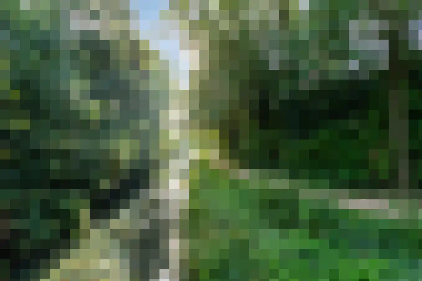 de Vlierbes 203 Doetinchem thumbnail 59