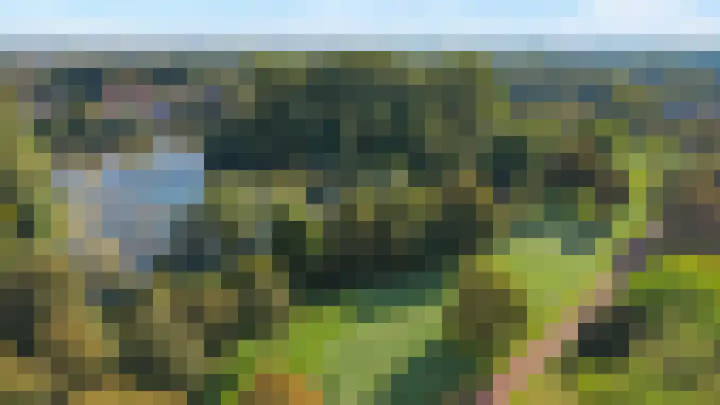 de Vlierbes 203 Doetinchem thumbnail 60