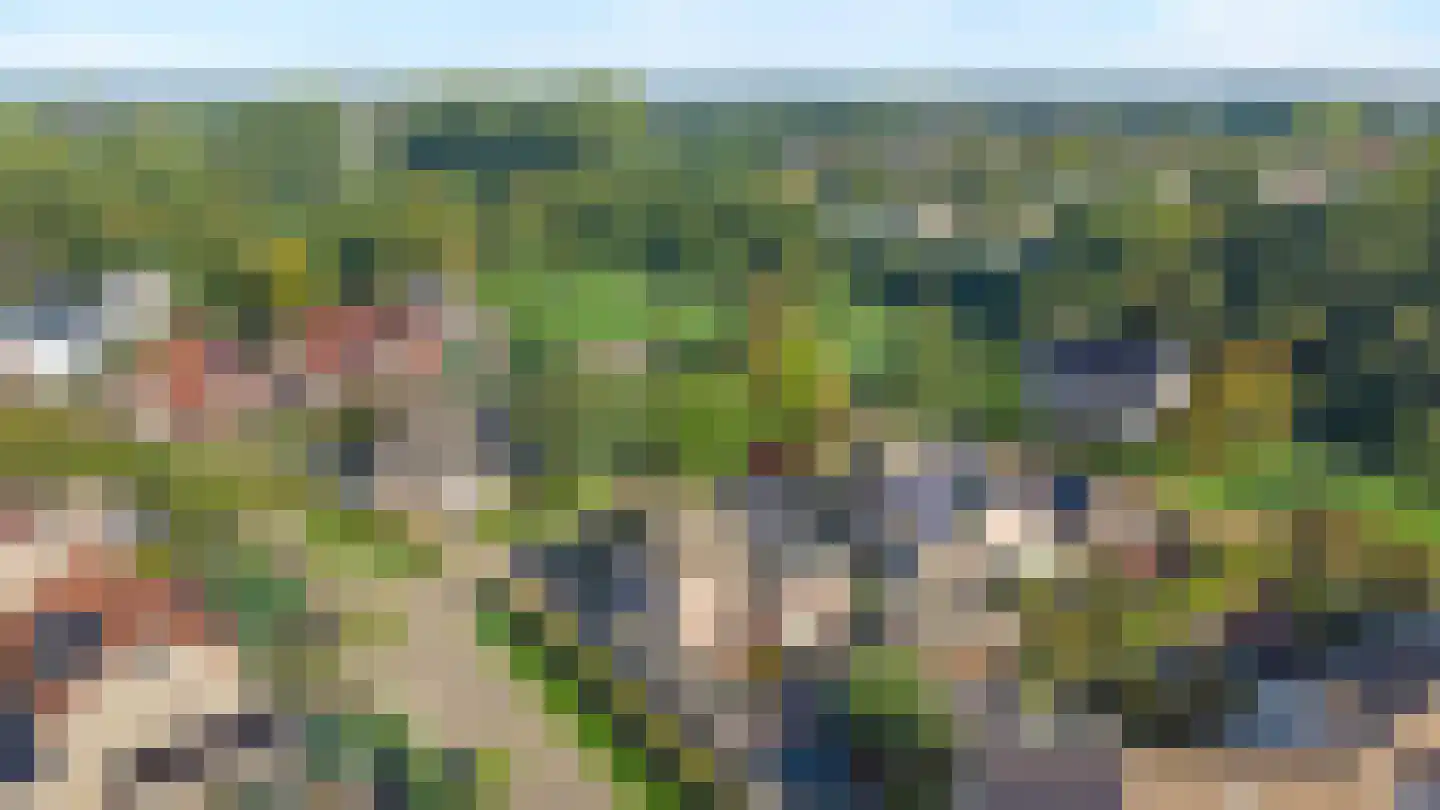 de Vlierbes 203 Doetinchem thumbnail 61
