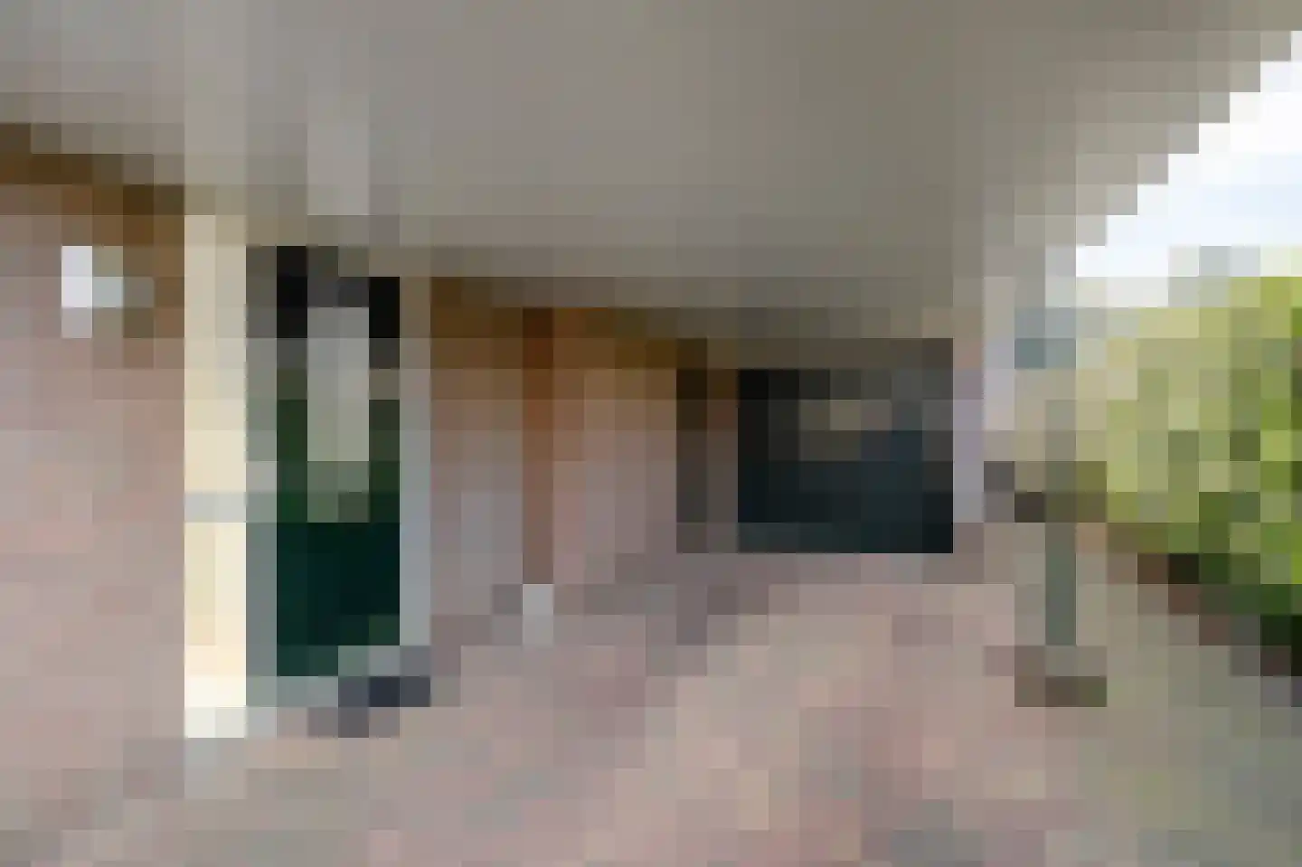 de Vlierbes 203 Doetinchem thumbnail 8
