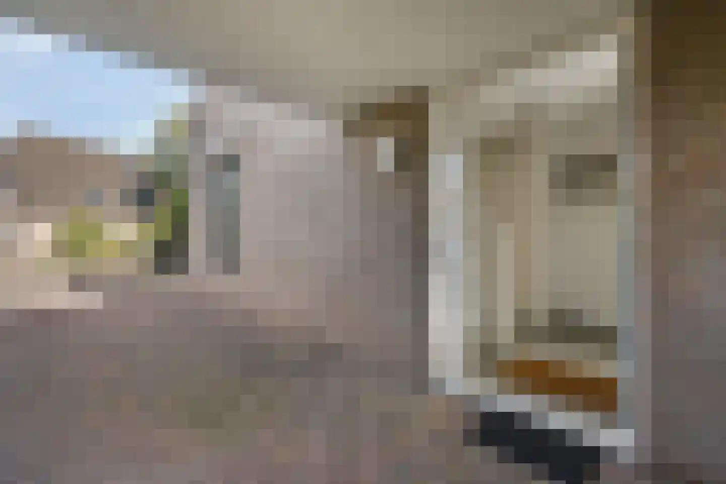 de Vlierbes 203 Doetinchem thumbnail 9