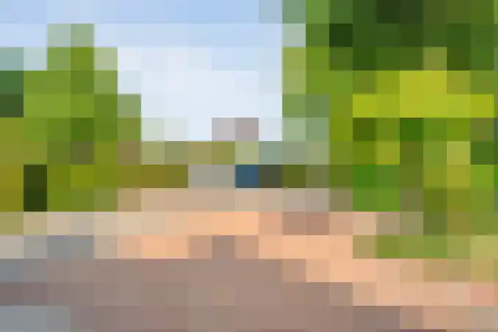 De Vlierbes 4 Dedemsvaart thumbnail 11