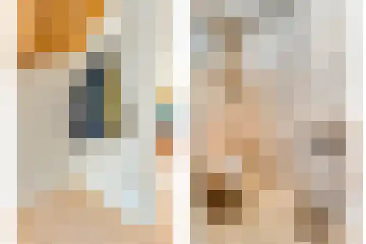 De Vlierbes 4 Dedemsvaart thumbnail 12