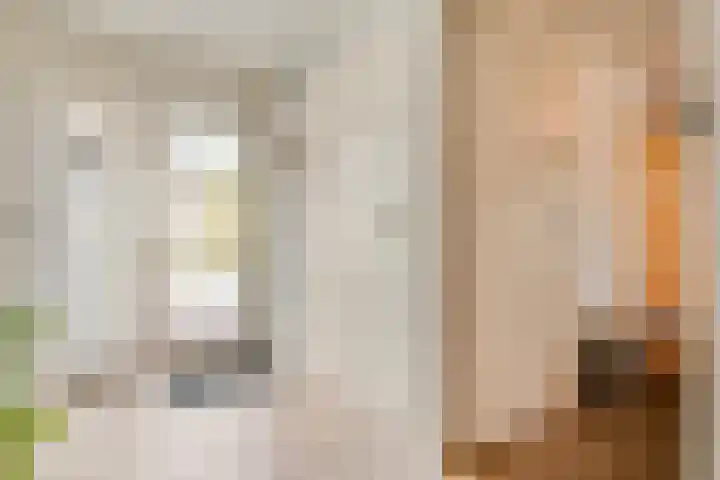 De Vlierbes 4 Dedemsvaart thumbnail 13