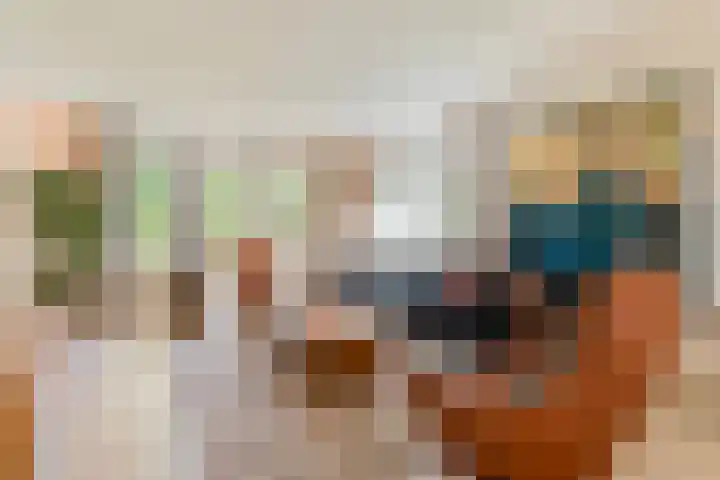 De Vlierbes 4 Dedemsvaart thumbnail 15