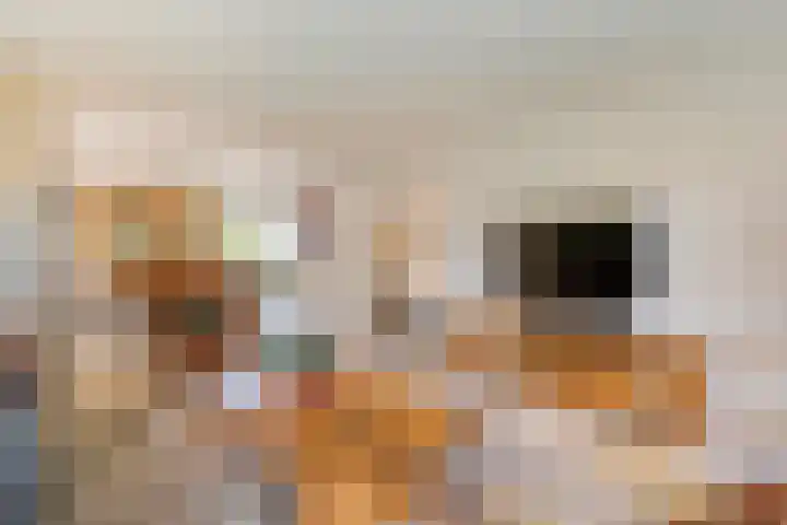 De Vlierbes 4 Dedemsvaart thumbnail 16