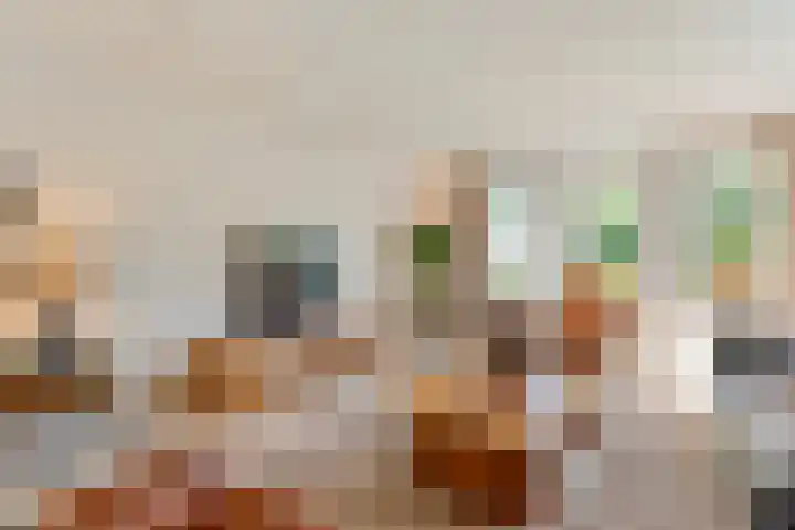 De Vlierbes 4 Dedemsvaart thumbnail 17