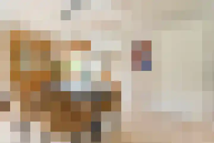 De Vlierbes 4 Dedemsvaart thumbnail 18
